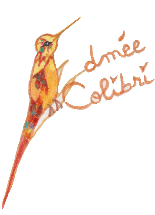 logo edmee colibri